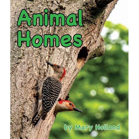 Animal Homes - (animal Anatomy & Adaptations) By Mary Holland (paperback) :  Target