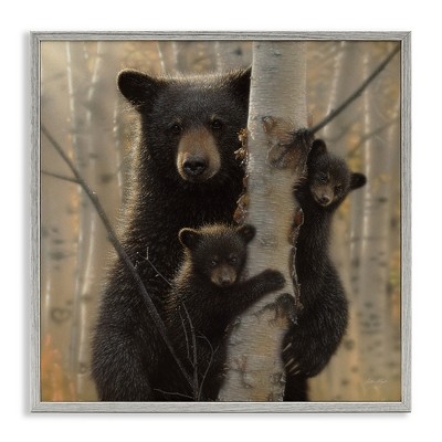 Stupell Industries Forest Black Bear and Cubs, 17" x 17"