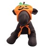 The Worthy Dog Jack-O-Lantern Hat - 2 of 3