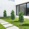 2Pcs 3FT Artificial Bay Laurel Tree with Ground Spikes, UV Resistant Fake Shrubs Flood Plants, Faux Laurus Nobilis, Fake Plants for Garden Patio - 4 of 4