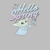 Women's Star Wars The Mandalorian Grogu Hello Spring T-Shirt - 2 of 4