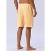 INSPIRE CHIC Men's Casual Summer Holiday Drawstring Waist Beach Striped Swimwear Shorts - 3 of 4