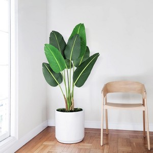 4FT-B Bird of paradise plant green, tropical artificial plant for indoor home living room and office decoration - 1 of 4