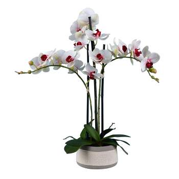 Vickerman 24" Artificial Pink Orchid in Ceramic Pot.