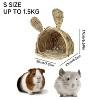 ZACHVO Handmade Natural Grass Nest for Small Pets - Bunny, Chinchilla, Hamster - 3 of 4