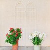 NicBex Garden Trellis for Climbing Plants Outdoor Metal Trellis Anti-Rust Garden Trellis Netting for Garden - 2 of 4