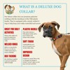 Country Brook Petz® Deluxe Dog Collar - Country and Western Collection - Made In The U.S.A. - 4 of 4