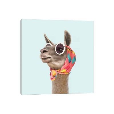 iCanvas Fashion Llama by Paul Fuentes Canvas Print Wall Art