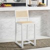 Seika Rattan Counter Stool - BST9502 - Safavieh - 3 of 4