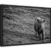 Amanti Art Highland Cow Calf in the Wind by Nathan Larson Canvas Wall Art Print Framed 23 x 16-in. - 3 of 4