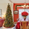 National Tree Company 7' Glittering Pine Pencil Slim Artificial Christmas Tree with Silver Glittered Cones 300 Multi Lights & PowerConnect - 2 of 3