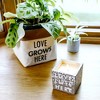 Pavilion Gift Company - Love - 8 oz - 100% Soy Wax Candle Scent: Serenity - Flame Candles - 3 of 4