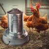 Farm Innovators 125 Watt Heated Base for Double Wall Metal Poultry Founts with 35 degrees Fahrenheit Temperature and Below, 3 Pack, Metallic - 3 of 4