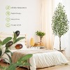 Artificial Olive Tree with Realistic Trunk, Silk Leaves & Fruits in White Pot, Faux Plant for Home or Office Decor - 2 of 4