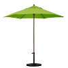 9' x 9' Round Wood Grain Steel Patio Umbrella Lime Green - Astella: Water-Resistant, Push-Up, No Assembly Required - 2 of 4