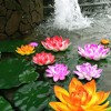 18CM Artificial Floating Lotus Shape,Water Surface Decorartion for Pool Pond - 2 of 4