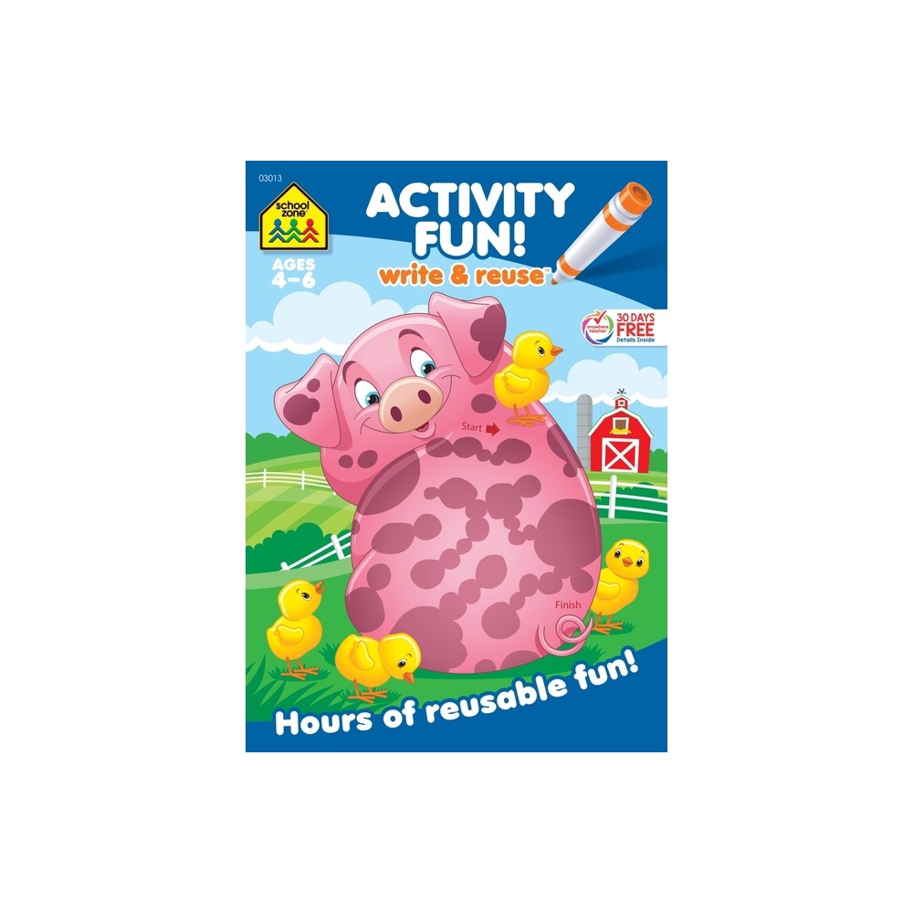 School Zone Activity Fun! Write & Reuse Workbook - (Paperback)