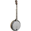 Gold Tone OB-250AT Professional Archtop Bluegrass Banjo Vintage Brown - 3 of 4