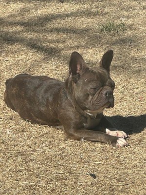 Guest review image 1 of 1, zoom in