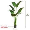 Forever Leaf 60" Bird of Paradise Artificial Plant for Living Room Decor, Indoor Artificial Plant for Home Decor - 3 of 4