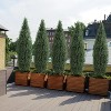 Set of 3FT Artificial Cedar Topiary Trees for Outdoors - Potted Fake Cypress Trees for Home Porch Decor - Faux Evergreen Plants for Front Door - 3 of 4