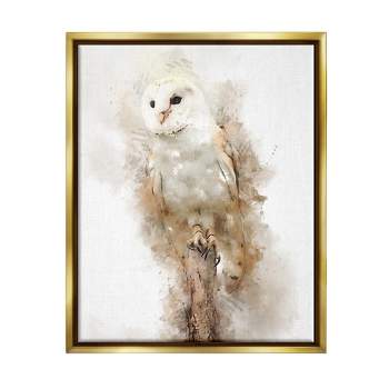 Stupell Industries Perched Barn Owl Wildlife Framed Floater Canvas Wall Art