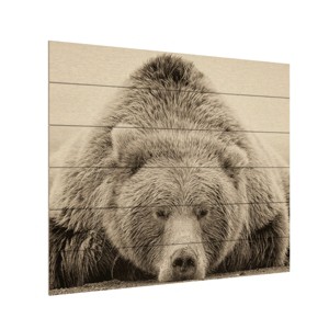 Trademark Fine Art -Phburchett 'Deep Sleep' Wood Slat Art - 1 of 4