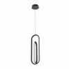 Eurofase Lighting Demark 1 - Light Pendant in  Matte Black - 2 of 4