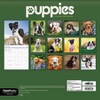 Trends International 2025 Puppies Wall Calendar: Monthly 12x12" Paper, Saddle Stitch Binding, All Ages, Multicolored - 4 of 4