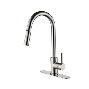 Grungis Single Handle Bathroom Sink Faucet,Bathroom Faucet with Pull Down Sprayer for Home Sinks - 1 of 4