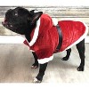 Parisian Pet 'Santa Claus Hoodie' for Dogs and Cats, Dog Christmas Holiday Apparel, Red - 4 of 4