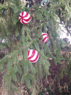 Guest review image 2 of 2, zoom in