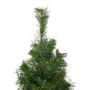 Northlight 3' Medium Black River Pine Artificial Christmas Tree - Unlit - 3 of 4