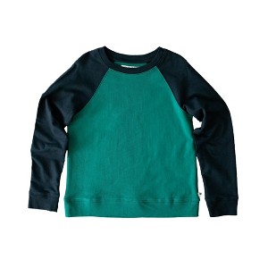 Kids' Organic Cotton Stevie Raglan Sweatshirt Color Block - 1 of 4
