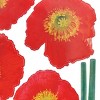 Slickblue Flower Display Vinyl Wall Decals – Decorative Stickers for Living Room, Bedroom & More, 13" x 23.5" - 3 of 3