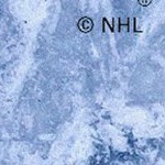 boston bruins