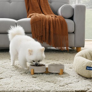 Coco Dual Pet Bowl with Wood Stand 5.11 in Gray - 1 of 4