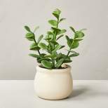 7" Mini Faux Succulent Plant - Hearth & Hand™ with Magnolia