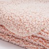 50"x60" Frosted Cozy Faux Shearling Throw Blanket - freshmint - 2 of 4