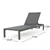 PAGED Outdoor Lounge Chairs,Outdoor Chaise Lounge with Modern Design and Backrest,Pool Lounge Chairs for Patio,Beach,Yard,Set of 2 - 3 of 4