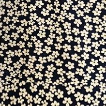 navy white daisy