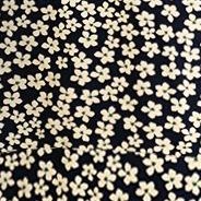 navy white daisy