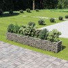 vidaXL Gabion Raised Bed Silver Galvanized Steel - 141.7" x 19.7" x 19.7" - 2 of 4