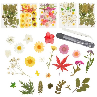 Bright Creations 152 Pieces Real Pressed Dried Flowers & Leaves with Tweezers for Resin Crafts