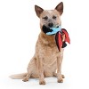 BARK Afraid of the Bark Halloween Drac Jr. Plush Dog Toy - 4 of 4