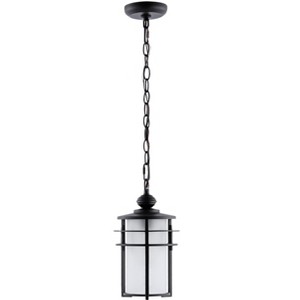 Adisyn 7" Outdoor Pendant - PLT4026 - Black - Safavieh - 1 of 4