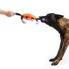 BARK Afraid of the Bark Halloween Maddle Long Legs Animal Plush Dog Toy - 4 of 4