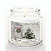 Courtside Market Tree Farm Winter Cranberry 12.8oz Soy Wax Candle Glass Jar with Brushed Silver Metal Lid - 2 of 3