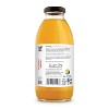 Just Ice Tea Organic Mango White Tea – 16 oz Glass Bottles (12-Pack) – Unsweetened Brewed Tea with Organic Ingredients – No Sugar, Just Tea - 3 of 4