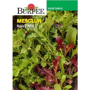 Burpee Mesclun Spicy Mix Vegetable Seeds - 1 of 2